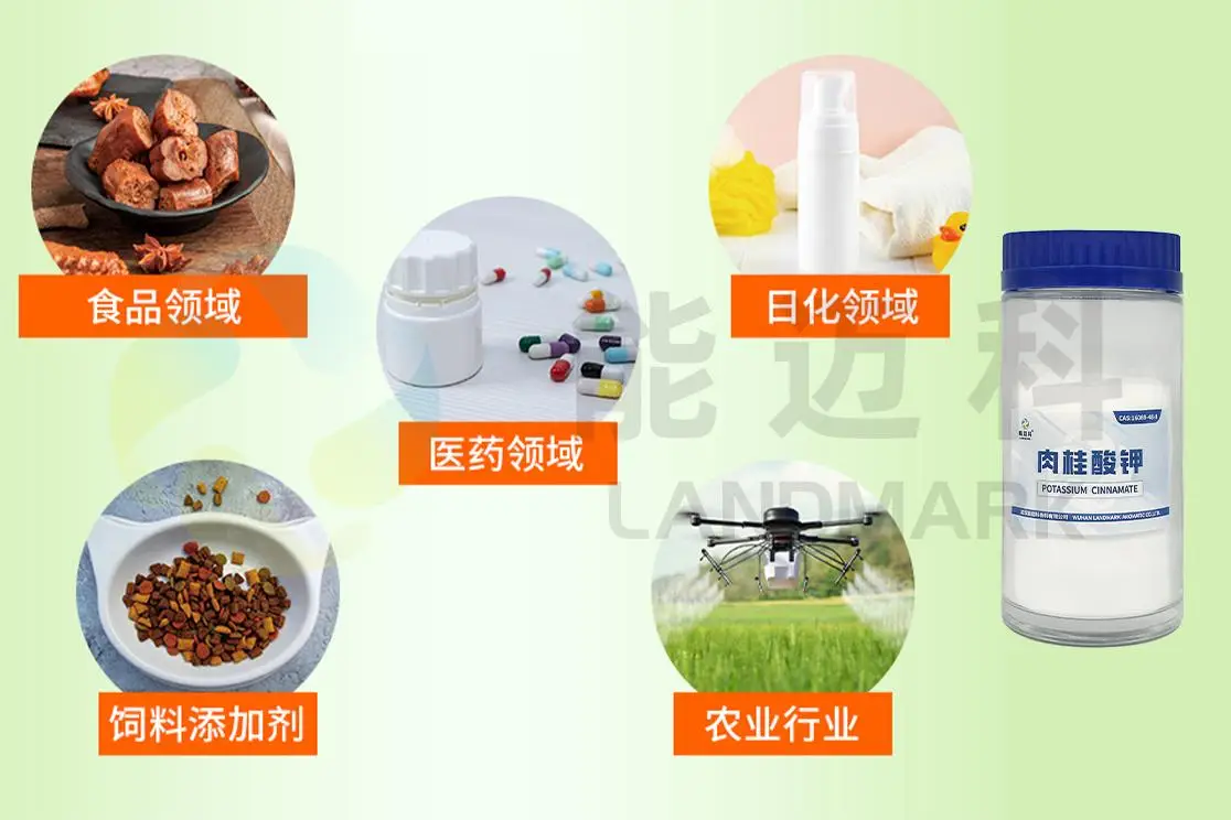 高評(píng)分廠家匯總：肉桂酸鉀防腐劑在食品加工中的實(shí)力廠家推薦